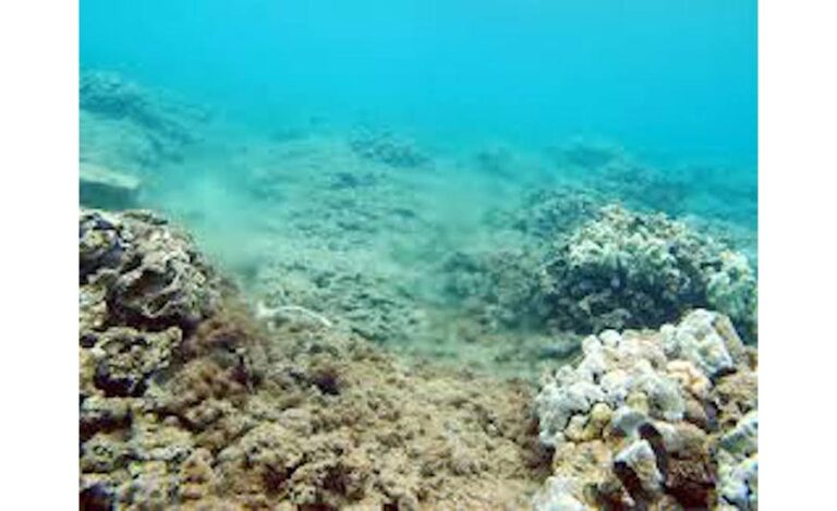 Nutrient discharges into the Pacific Ocean off Maui are impacting coral reefs, according to federal studies. The US Supreme Court now will rule on an ongoing dispute over discharge compliance. Image: US Geological Survey