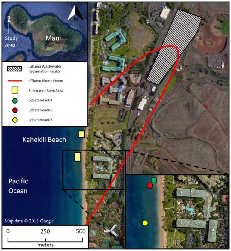 Kahakili Beach Park and Lahaina Wastewater Reclamation Facility / LAHAINA GROUNDWATER TRACER STUDY