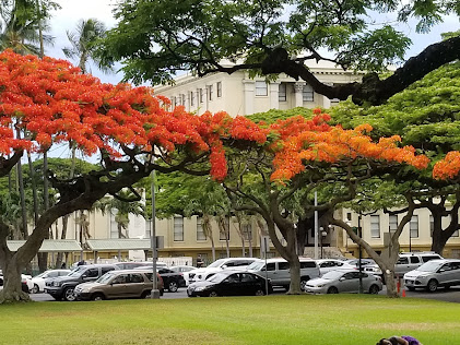 Hawai`i Public Utilities Commission, Photo by Henry Curtis Posted on August 25, 2021