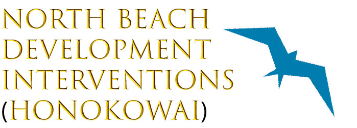 Association Challenging North Beach Resort Project